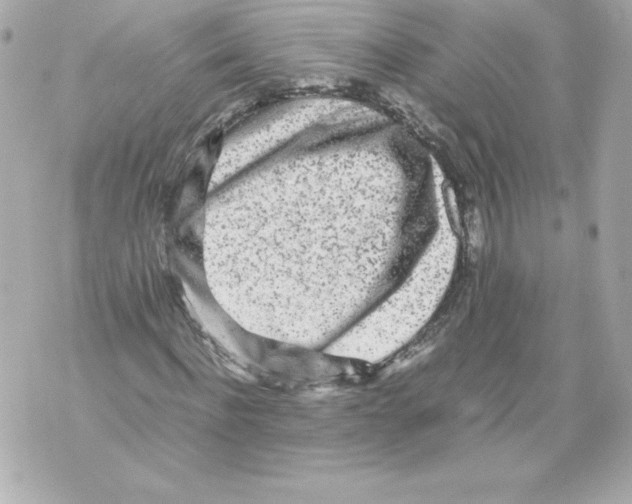 X0000070390916200607072215