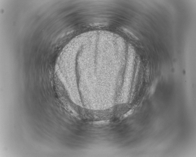 X0000070390917200607072215