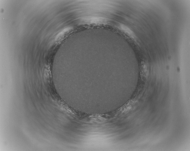 X0000070390918200607072215