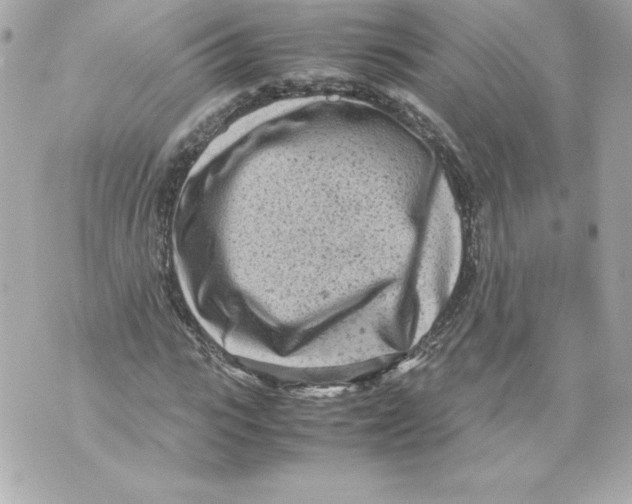 X0000070390919200607072215