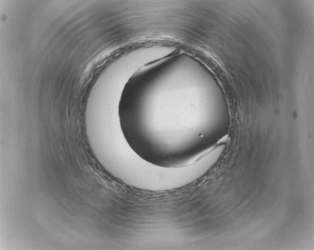 X0000070390920200607072215