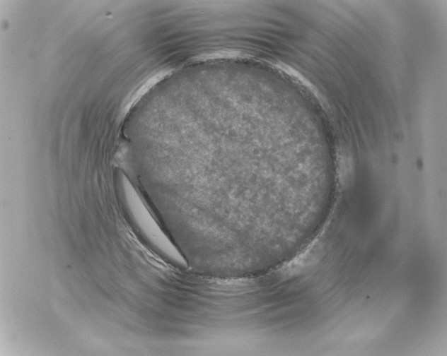 X0000070390921200607072215