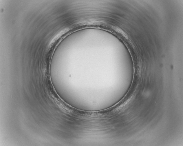 X0000070390922200607072215