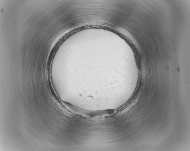 X0000070390924200607072215