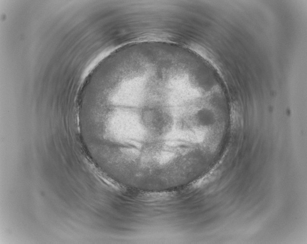 X0000070390925200607072215