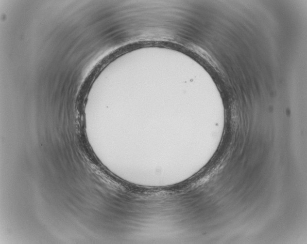 X0000070390926200607072215