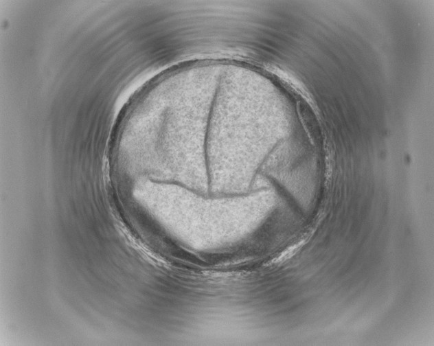 X0000070390928200607072215