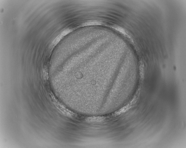 X0000070390929200607072215