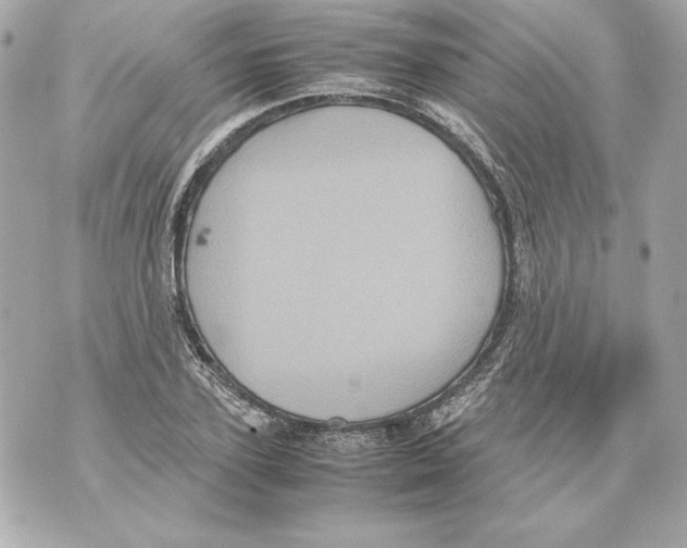 X0000070390931200607072215