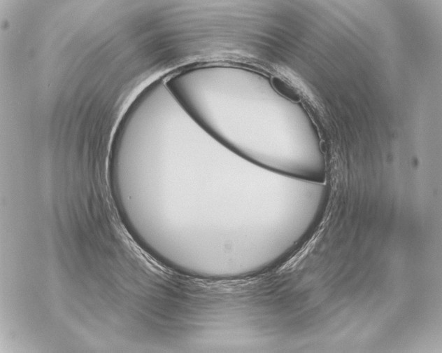 X0000070390932200607072215