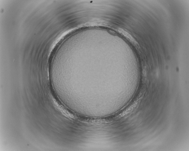 X0000070390934200607072215