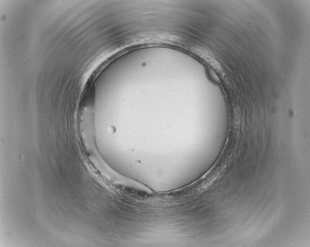 X0000070390936200607072215