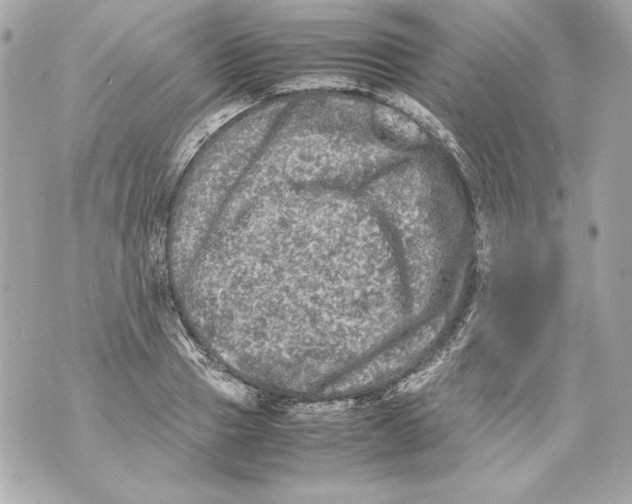 X0000070390937200607072215