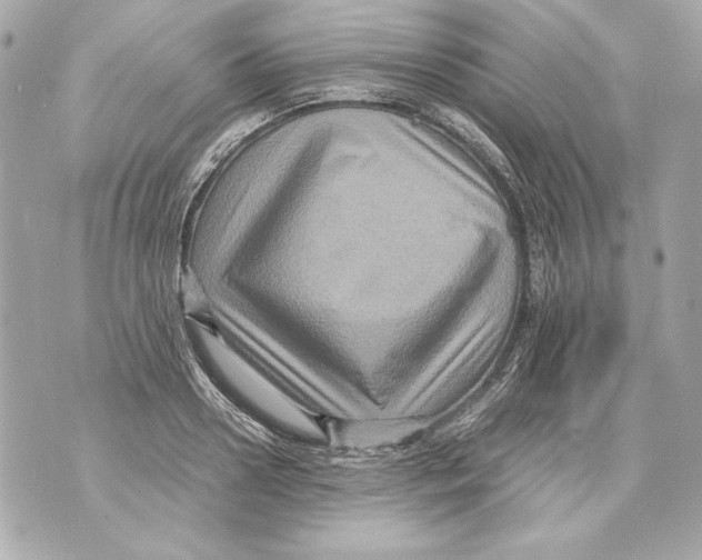 X0000070390938200607072215