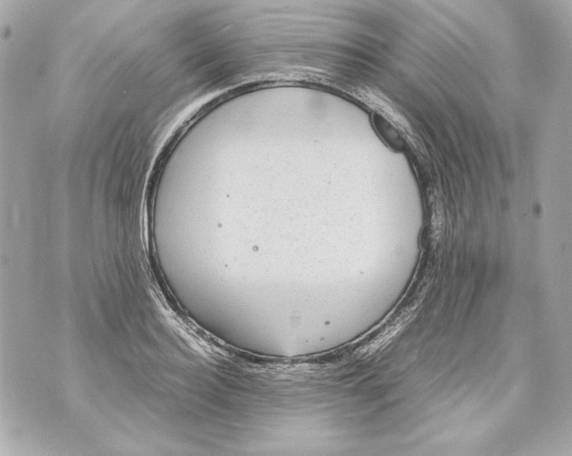 X0000070390940200607072215