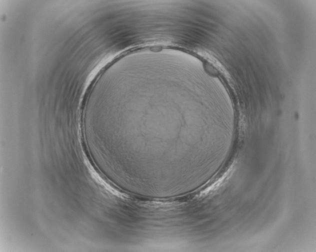 X0000070390941200607072215