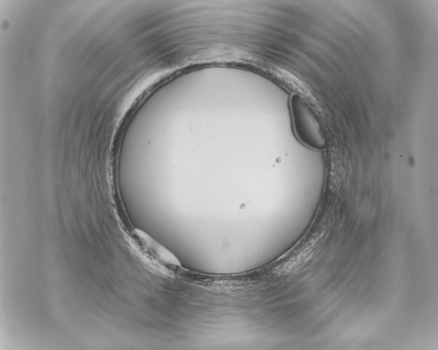 X0000070390942200607072215