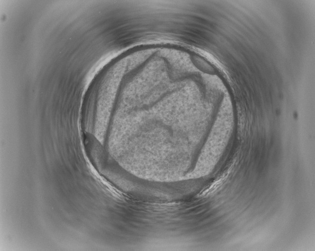 X0000070390943200607072215