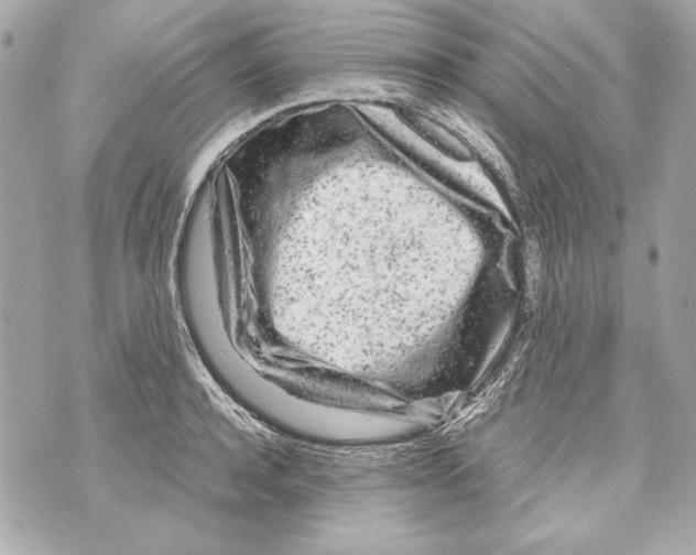 X0000070390944200607072215