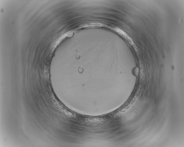 X0000070390945200607072215