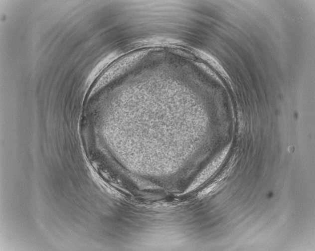 X0000070390946200607072215