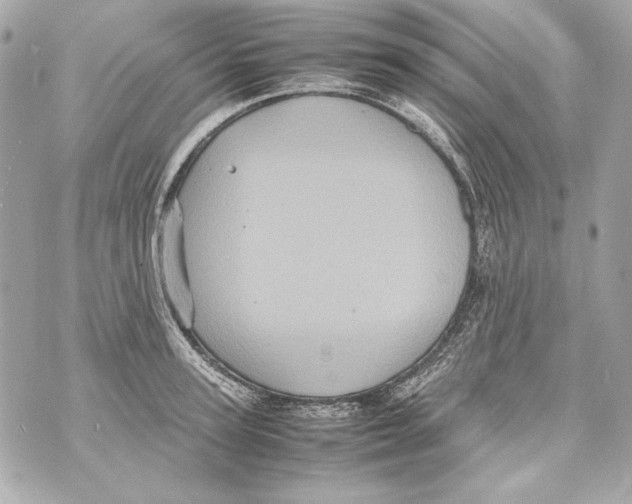 X0000070390947200607072215