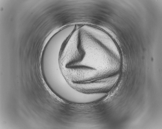 X0000070390949200607072216