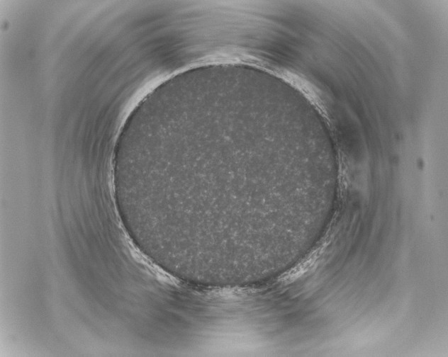 X0000070390950200607072216