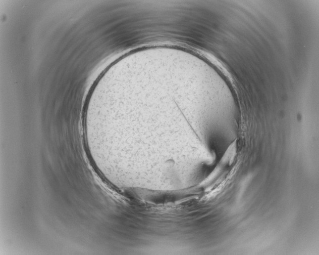 X0000070390951200607072216