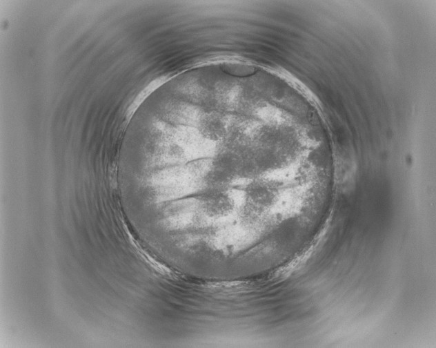 X0000070390953200607072216