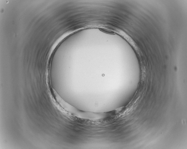 X0000070390955200607072216