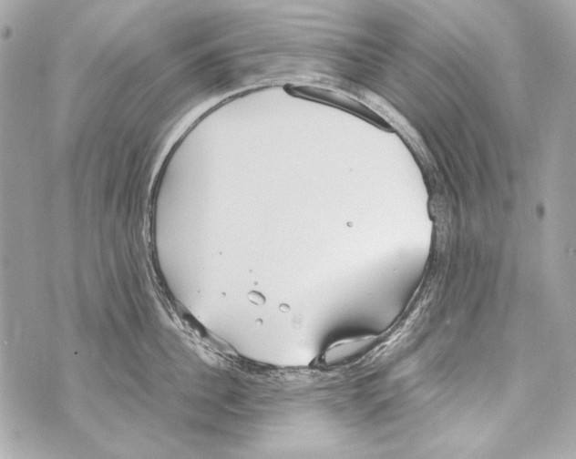 X0000070390956200607072216