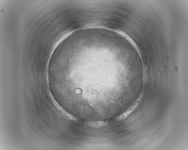 X0000070390957200607072216