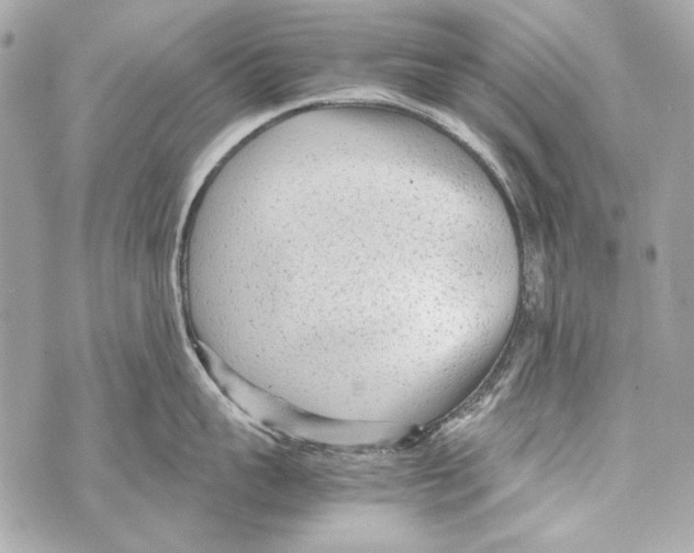 X0000070390959200607072216