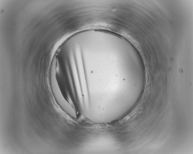 X0000070390960200607072216