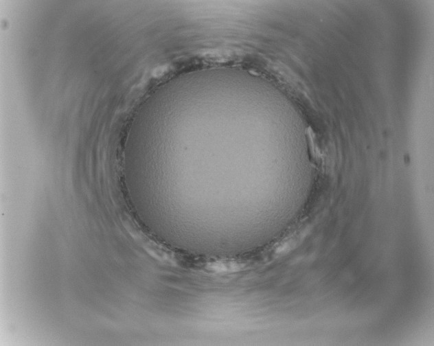 X0000070390961200607072215