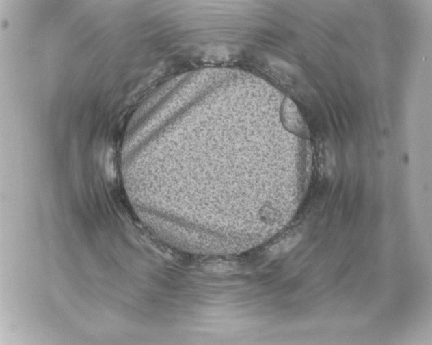 X0000070390962200607072215