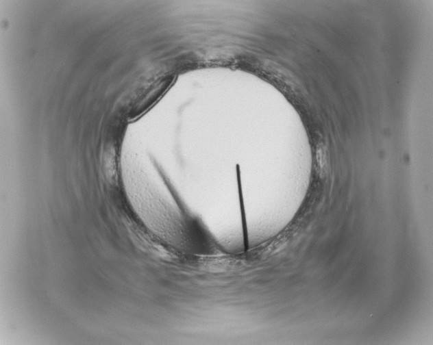 X0000070390963200607072215