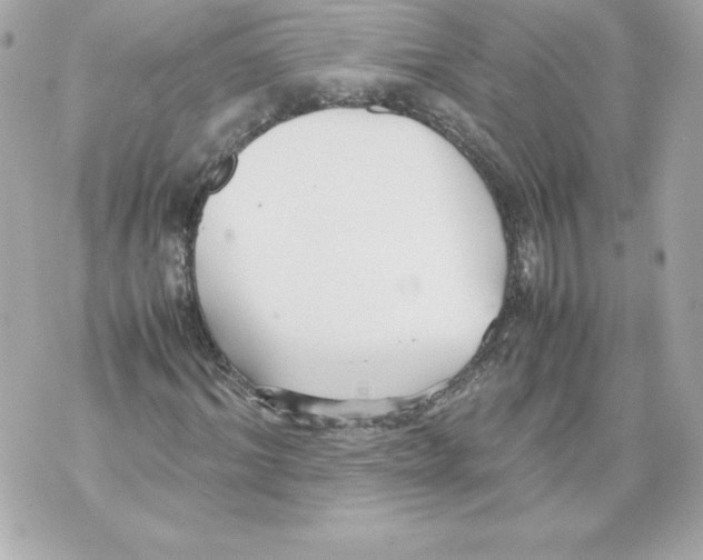 X0000070390964200607072215