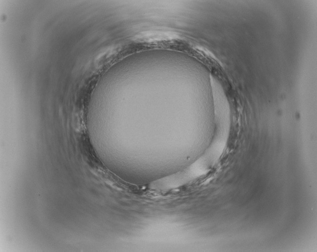 X0000070390965200607072215