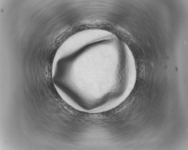 X0000070390966200607072215