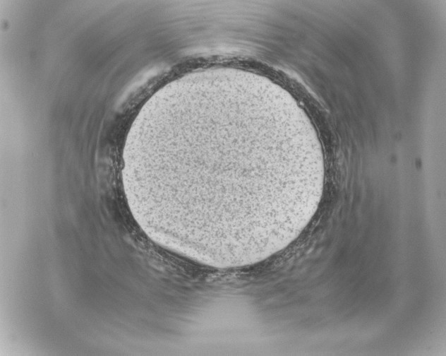 X0000070390967200607072215