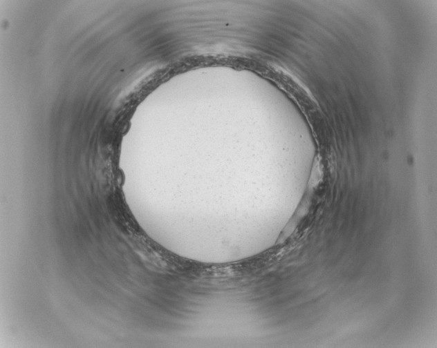 X0000070390968200607072215