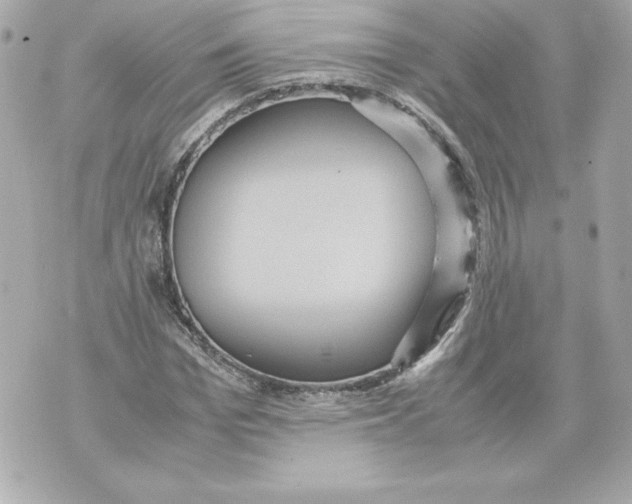 X0000070390969200607072215