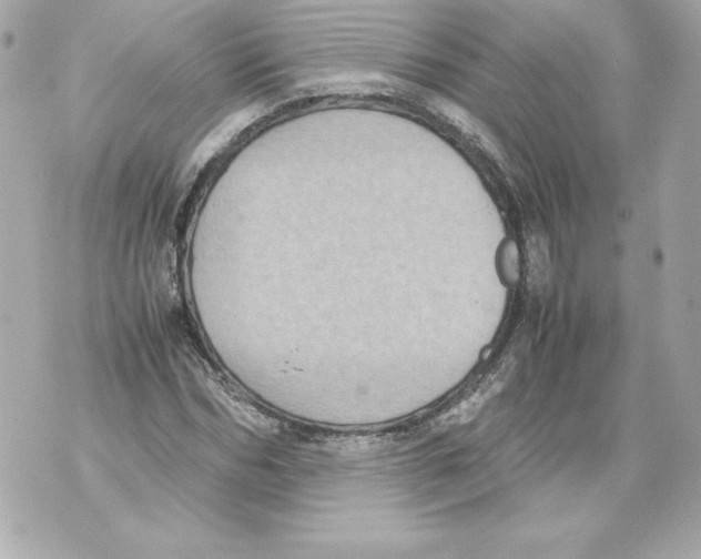 X0000070390970200607072215