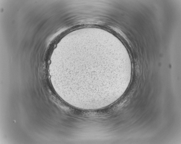 X0000070390971200607072215