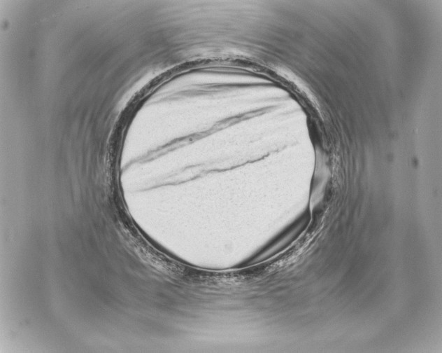 X0000070390975200607072215