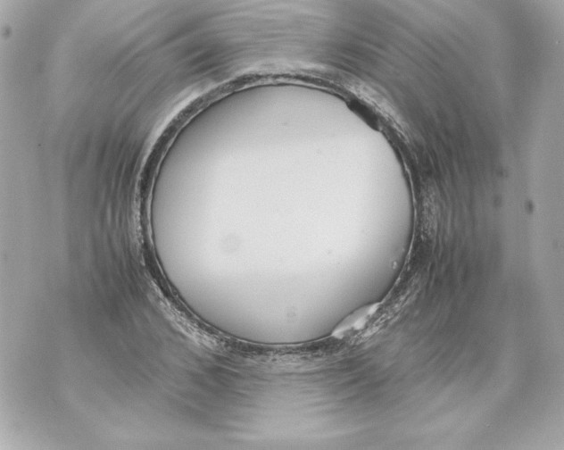 X0000070390976200607072215