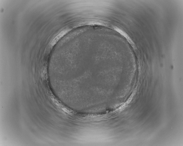 X0000070390977200607072215