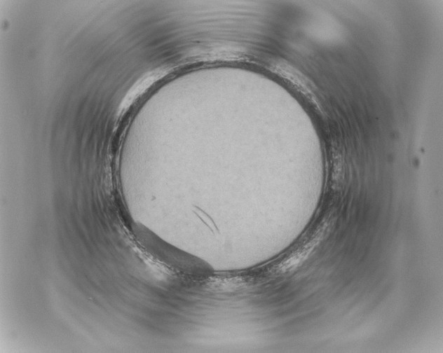 X0000070390978200607072215